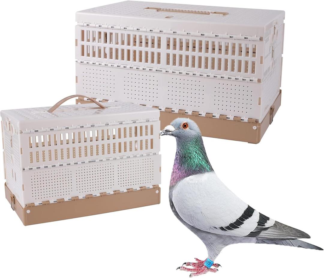 Plastic Foldable Pigeon Cage with Handle, M, Three Doors