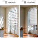 Cordless Zebra Blinds for Windows Pull Down Roller Window Shades Dual Layer Light Filtering Privacy for Day and Night, Free-Stop Door Shades for Home Easy to Install (34" W X 72" H, White)