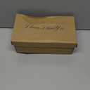 Women Clear Pointed Toe Sandals Stiletto Heels Transparent Strap High Heels Slip on Mules for Women (6, Nude)