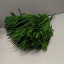 16 Pcs Real Touch Norfolk Pine Branch -18" Artificial Christmas Green Plants Branches Faux Greenery Stem Fake Cedar Pine Picks for Vase DIY Crafts Garland Wreath Xmas Indoor Outdoor Home Decor