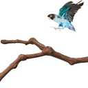 PINVNBY Parrot Perches - Soporte para pjaros naturales, palo de uva silvestre, molienda de patas de madera, accesorios y juguete para periquitos, agapornis, periquitos, cacatas y pinzones