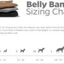 Pet Parents Washable Belly Bands for Dogs (3pack) + Extendrs Durable Dog Diapers - Premium Male Dog Diapers & Wraps (X-Small, Black)