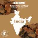 Handcraft Blends Organic Frankincense Essential Oil  1 Fl Oz  100% Pure and Natural  Premium Grade Essential Oil for Diffuser and Aromatherapy