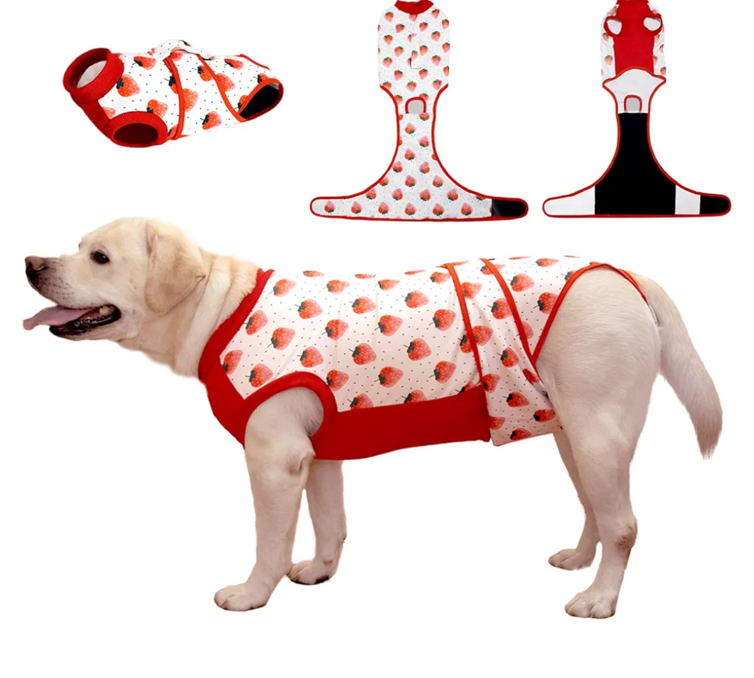 Recovery Suit for Dogs After Surgery - Male and Female Neutering, Spay Surgical Substitute for Cone & E-Collar - Dog Onesie for Abdominal Wounds and Bandages