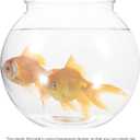 ULTECHNOVO Transparent Plastic Fish Tank Small Round Aquarium for Household Goldfish with Break-Resistant Design Clear Fishbowl for Desk and Home Decoration 7 X 7 X 6.3