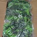Dolicer 4Pcs Artificial Monstera Leaf Vines, 5.6Ft Fake Hanging Greenery Plants Tropical Palm Leaves Ivy Vine Monstera Garland for Home Garden Porch Patio Hawaiian Party Indoor Outdoor Dcor