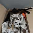 UMEELR 5.4FT Halloween Life Skeleton with Spider, Full Size Skeleton for Halloween Patio Lawn Garden Props Spooky Party Decoration