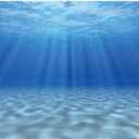 AWERT Undersea Theme Aquarium Background Sunshine Underwater World Fish Tank Background 24x12 inches