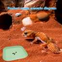2 x 2 Pcs Leopard Gecko Potty Pad,Leopard Gecko Tray,Crested Gecko Potty Latrine,Reptile Litter Box, Lizard Tray,Portable Gecko Tank Accessories (Green)
