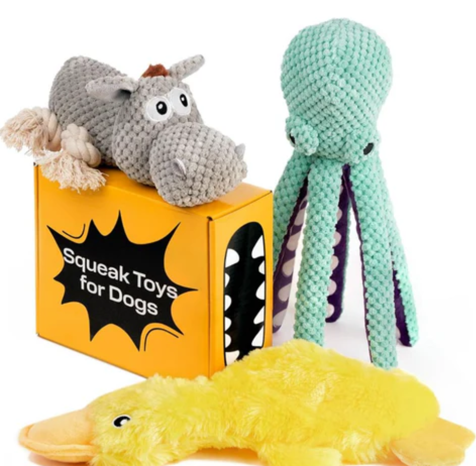 Pet Spy Squeaky Stuffed Dog Toy, Pack of 3