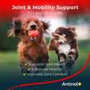 Antinol Plus, Mobility, Hip, and Joint Supplement for Dogs, Green-Lipped Mussels and Krill Oil - Dog Joint Supplement, Better and Faster Than Glucosamine and Chondroitin, 60 Soft Gels