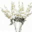 8PCS Delphinium Artificial Flowers Larkspur Bulk Silk Flowers 33.5 in Long Stem Fake Flowers for Home Garden Wedding Floral Arrangements Decor (8, White)