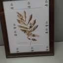 11x14 Picture Frames Rustic Brown Wood Pattern Photo Frames, for 8x10 with Mat or 11x14 Without Mat Gallery Wall Display Wood Frame 1Pack