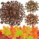 200Pcs Artificial Acorn Artificial Maple Leaves Natural Mini Pine Cone Decor Set,Autumn Table Decorations Set Plastic Acorns Fall Leaves for Home Autumn Favor,Thanksgiving Day Christmas Wedding Decor