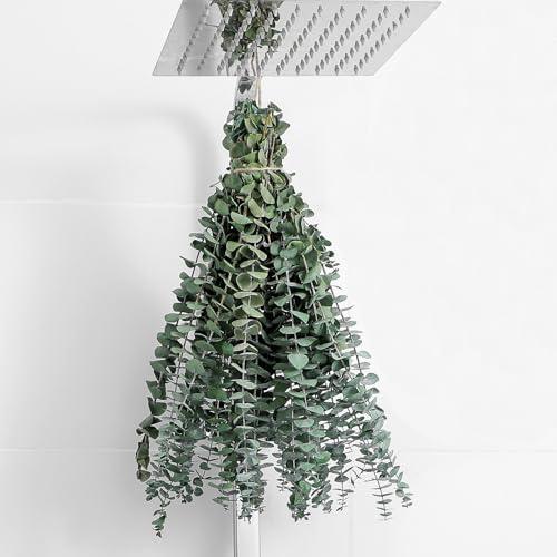 1 Pcs Dried Eucalyptus Stems 17" Real Eucalyptus for Shower Hanging 100% Made from Fresh Leaves, Wedding, Home, Farmhouse, DIY Spring Decor