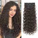 REECHO Curly Clip in Hair Extensions, 4PCS 24 inch Long Hair Extensions Clip ins Lace Weft Natural Hairpieces for Women Daily, Chocolate Brown