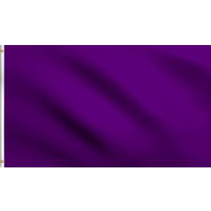 DMSE Purple Solid Blank Flag 3X5 Ft Foot Flag UV Resistant (3x5 Nylon, Purple)