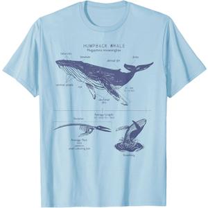 Humpack Whale Anatomy Marine Biology T-Shirt, Size S
