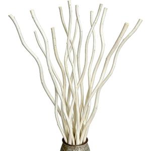 Dried Curly Willow Branches, 15 Stems Dried Twigs Sticks 18-19 Decorative 100% Natural Birch Branches for Vases, DIY, Floral Arrangement, Centerpiece, Rustic Home Decor, White
