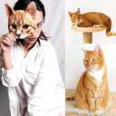 2 x Valpeak 3D Cat Mask, Cat Headband, and Funny Cat Socks with cat Tails (Orange Cat Three-piece)