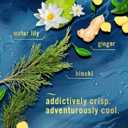 Febreze Scented Candle, Ocean Scent, 11 oz 4 Wick Candle, Single Pack