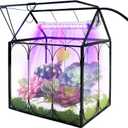 Plant Terrarium Kit with Grow Light, Rifny Small Glass Terrarium Jar with Absorbent Mat and Lid for Venus Fly Trap Succulent Live Air Plants Indoor Home Office Decor (Black, 7.1 x 4.8 x 8.8 inch)