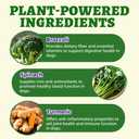 Just Try 15 oz Broccoli & Spinach Vegan Treats Immune Digestive Support Dog