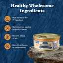 Blue Buffalo Wilderness Wild Delights Minced Natural Wet Cat Food, Chicken & Turkey in Tasty Gravy, 5.5-oz. Cans, 24-Pack