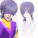 Light Purple Wigs Straight Purple Mixed Grey Wig Boys Mens Cosplay Wig Daily Halloween Costume Synthetic Wigs