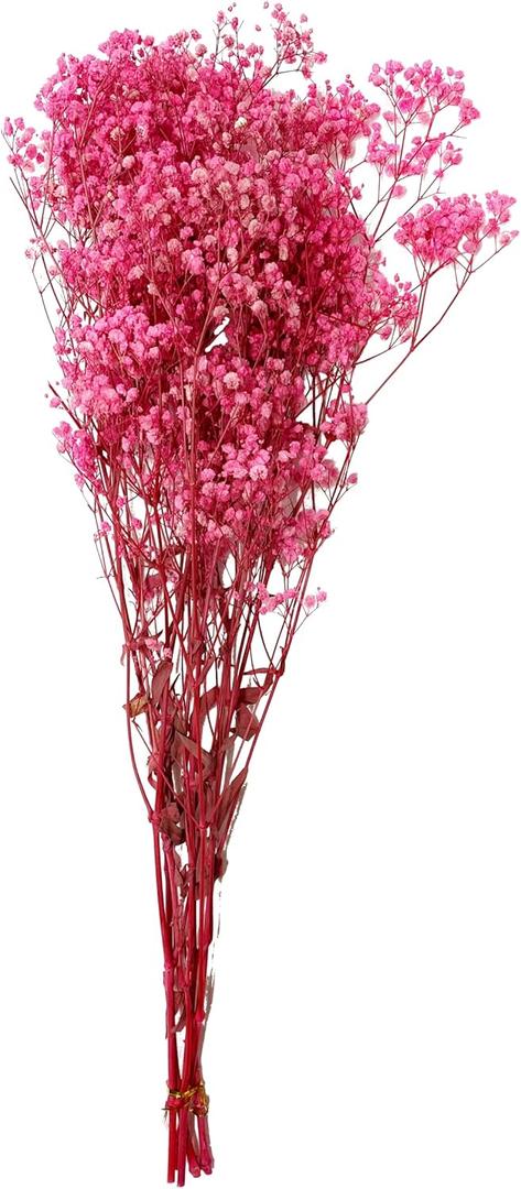 CalCastle Craft Dried Flower Natural Babys Breath 27" H 4.5oz Large Bundle Gypsophila Perserved for Wedding Bouquet Home Decor (Pink)