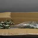 Artificial Olive Tree 6ft  Faux Olive Tree with UV Resistant Leaves - Tall Fake Plant in Pot, Large Floor Plants for Indoor & Outdoor Modern Home, Living Room, Office Decor, VN126