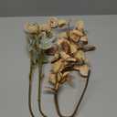 Beige Fake Flowers Silk 10 Stems With Eucalyptus, Faux Flowers For Vase, Artificial Mums Long Stem, Mini Faux Mums Flower Bulk, Tan Nude Cream Neutral Floral, Chrysanthemum Pom Pom Floral Arrangements 7 parts lost
