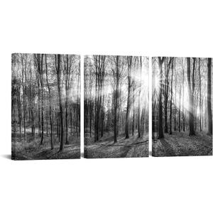 LevvArts Canvas Wall Art Black and White Forest Picture Art Prints Winter Sunrise Nature Landscape Painting for Bedroom Living Room Office Wall Decor