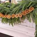 6FT Norfolk Pine Garland with 6FT Orange Slice Garland Set,Realistic Artificial Greenery Seasonal Garlands,Christmas Faux Gradient Garlands for Mantle Holiday Indoor Outdoor Fireplace Xmas Decor