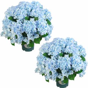 QIANYUN Artificial Hydrangea Bush  20 Inch Potted Faux Hydrangea Plant, UV Resistant Outdoor Hydrangea Artificial Plants for Front Porch, Garden, Patio & Indoor Decor (Blue)