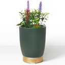 Earnest Living Essential Oil Diffuser Ceramic Artificial Succulent Plants Potted Diffuser 100 ml for Lavender Essential Oils Timers Night Lights and Auto Off Humidifier Aromatherapy Diffusers for Gift