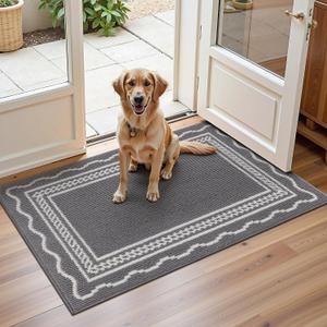 Ileading Indoor Door Mat 2x3ft, Absorbent Dog Muddy Paws Mats, Low-Profile Entrance Small Runner Carpet with Non-Slip Rubber Backing, Washable Inside Welcome Mat for Hallway,Entryway,Kitchen (Grey)