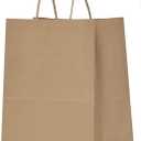 Qutuus 10x5x13 Kraft Paper Bags 100 Pcs Kraft Shopping Bags, Paper Gift Bags for Retail, Merchandise, Recycled Bulk Paper Sacks, Brown Paper Bags with Handles Bulk