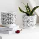 2 Pack Ceramic Plant Saucer Pot Tray 6 Inch, Planter Saucers 4 5 6 7 8 9 10 11 12 13 Inch for Indoors Outdoor, Durable Sturdy Flower Drainage drip Water Tray for Glazed Pots Base (6.4 Inch-White)