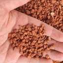 Horticultural Calcined Clay Soil Bonsai Cactus Soil Additive for Succulent Plants (18 LB, 1/4 inch)