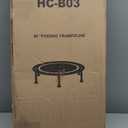 Leaps and Rebounds Fitness Trampoline, 48 or 40-inch Adults and Kids Rebounder for Indoor and Outdoor, Up to 270 lbs, Low Impact Cardio and Easy Home Workout (green)