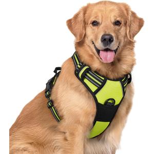 Rabbitgoo Dog Harness No Pull with 2 Leash Clips, Adjustable Soft Padded, Reflective Oxford No Choke Pet Vest with Easy Control Handle for Large Dogs, Green, XL