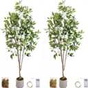 Artificial Fake Ficus Tree 6FT Tall 2Pack with String Lights & White Planter & Free Moss, Artificial Plants Indoor, Artificial Trees for Home Decor Indoor, Faux Ficus Tree