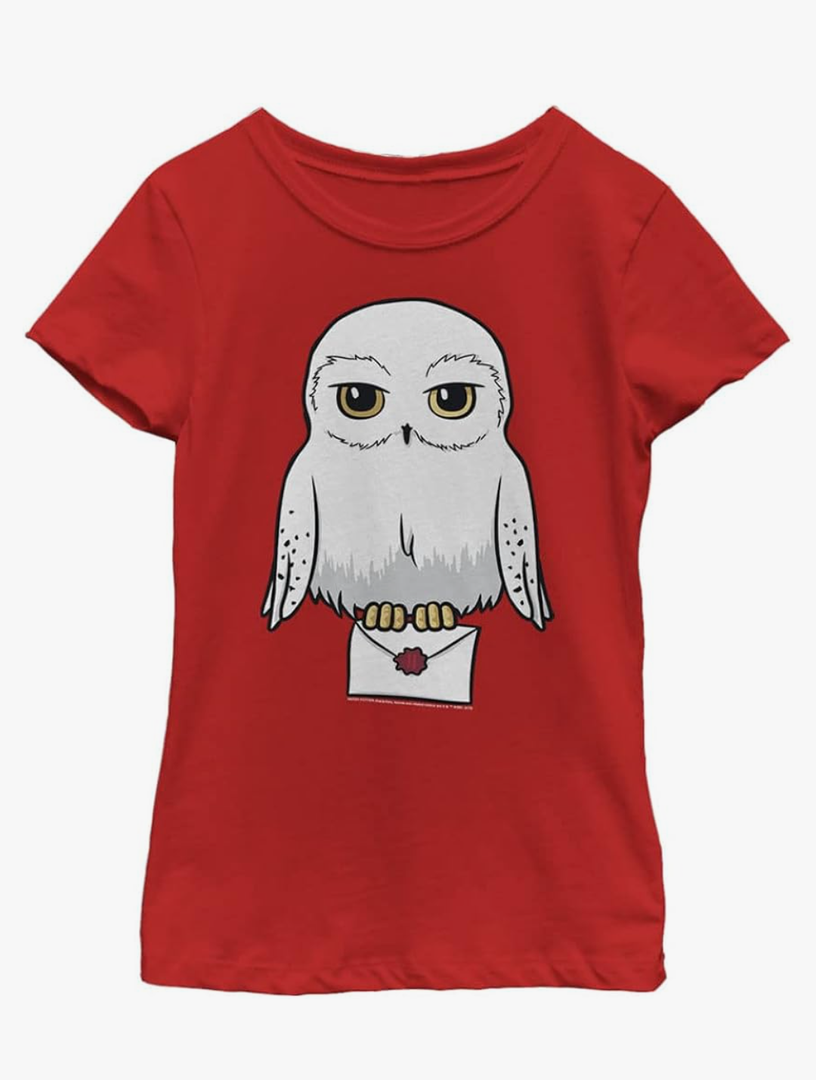 Harry Potter Girl's Anime Hedwig Mail Medium