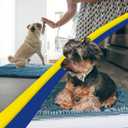 Muddy Mat | Super Absorbent Door Mat Indoor, Microfiber Quick Dry Chenille Entryway Rug, Non-Slip Front Door Mat, Indoor Mats for Entryway, Machine Washable Pet Rug, Atlantic Blue 24"x36"