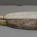 50 PCS Tall Pampas Grass for Floor Vase  17" Natural Fluffy Dried Pampas Grass Stems, Large 20 White & 30 Brown Pmpas Grass, Boho Pampas for Wedding, Home Decor, Halloween, Christmas