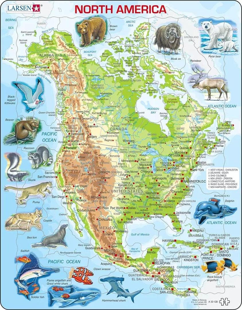 Larsen Puzzles North American Map with Animals 66 Piece Children's Educational Jigsaw Puzzle Larsen Puzzles North American Map with Animals 66 Piece Children's Educational Jigsaw Puzzle