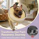 Soft Inflatable Dog Cone for Surgery Recovery, Protective Dog Donut Collar with Shield to Stop Licking Wounds, 2-in-1 Patented Comfort Blow-Up Collar for Small and Medium Pets (Khaki, M (Neck: 8"-11")