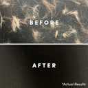 Clean Revolution Pet Hair Remover Laundry System 2-pack: Laundry Detergent + Fabric Softener with HairLift Technology, Fragrance-Free, 6 Natural Enzymes, Removes Pet Hair, Stains & Odors, 40 Oz Each