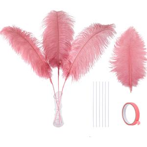 Ballinger Long Pink Ostrich Feathers - 12pcs 16-18inch Feathers Making Kit Large Ostrich Feathers Bulk for Vase,Wedding Party Centerpieces and Home Decor